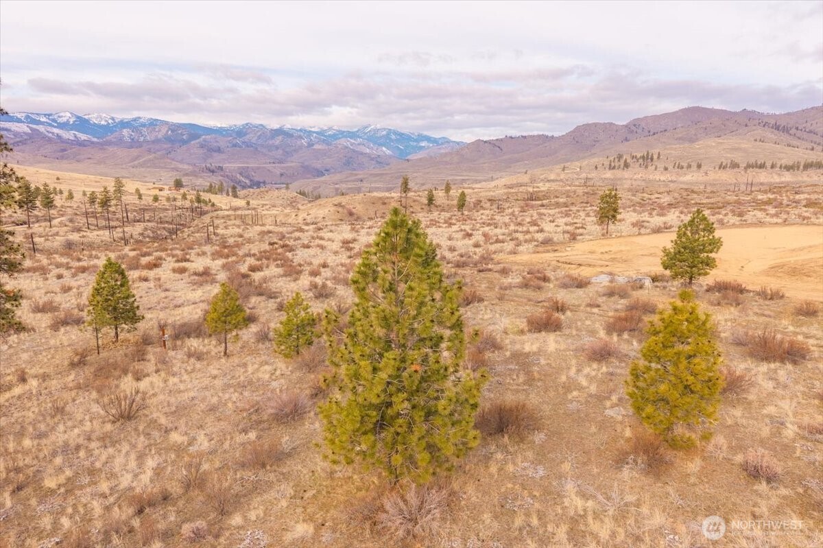 817 Bill Shaw Road Pateros, WA 98846 - Photo 22 of 28 Gallery Image 22