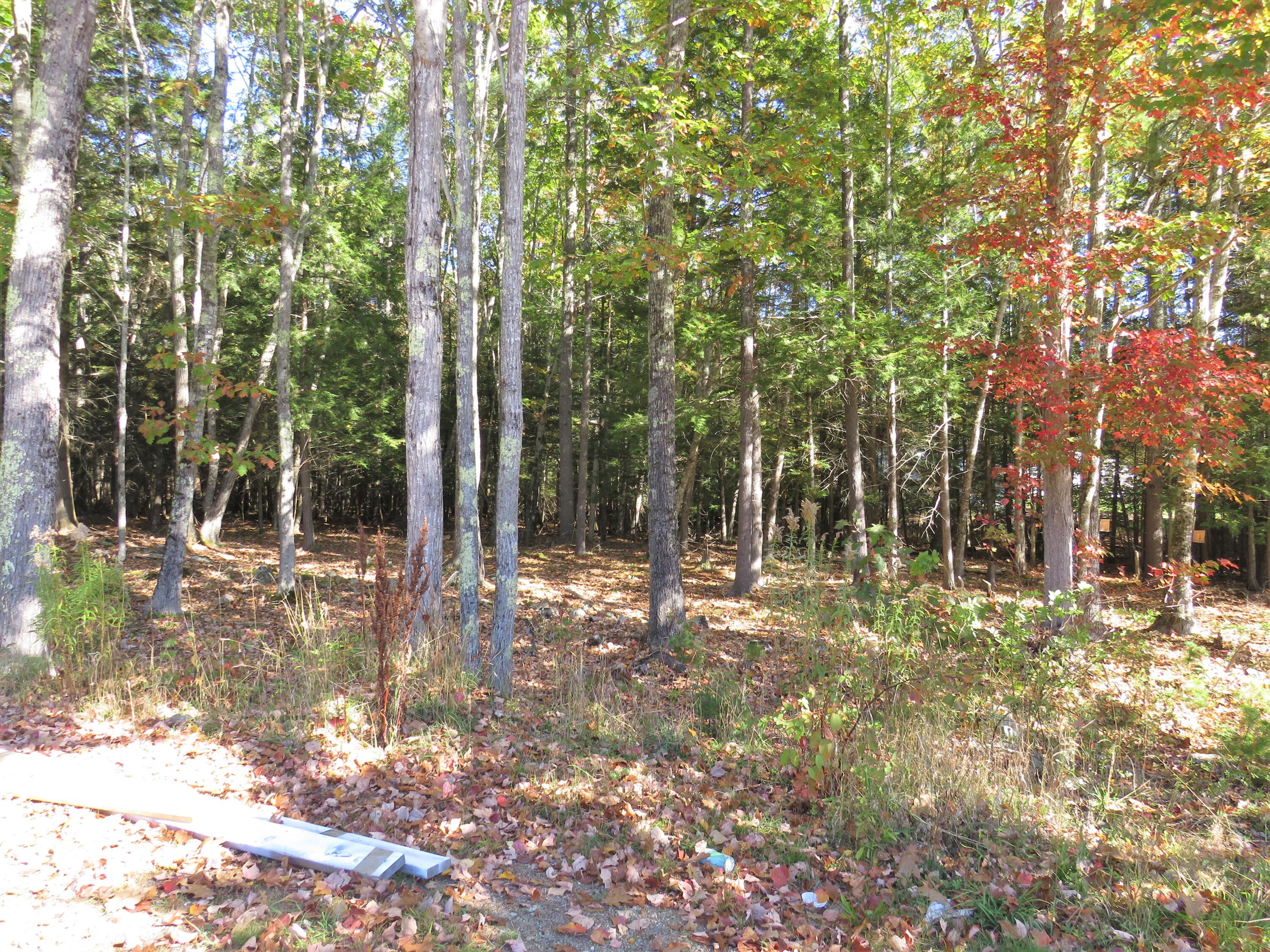 1576 Searsmont Road Appleton, ME 04862 - Photo 5 of 28 IMG_6127