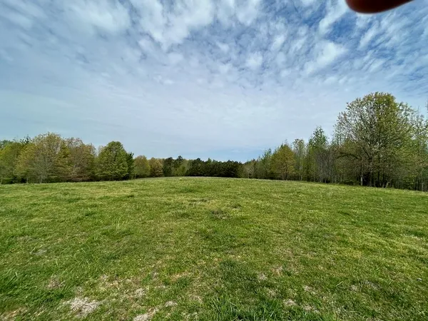 a view of a field of grass and trees