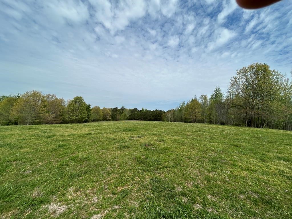 a view of a field of grass and trees
