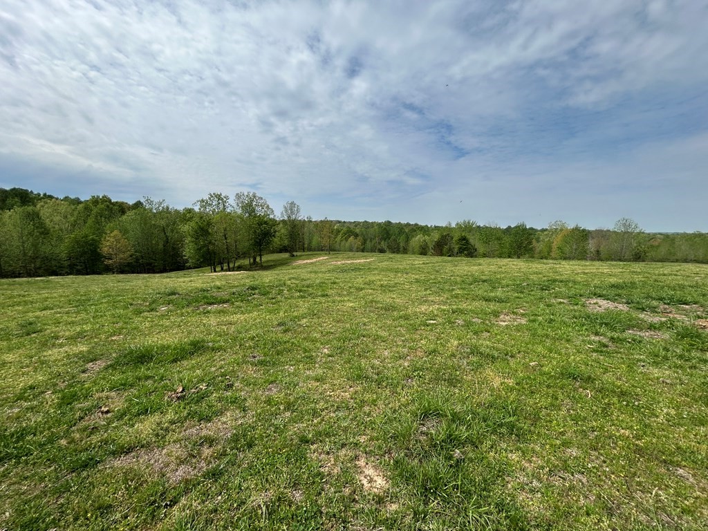 0 Elkhorn Road Springville, TN 38256 - Photo 11 of 22 a view of a field with an trees in the background