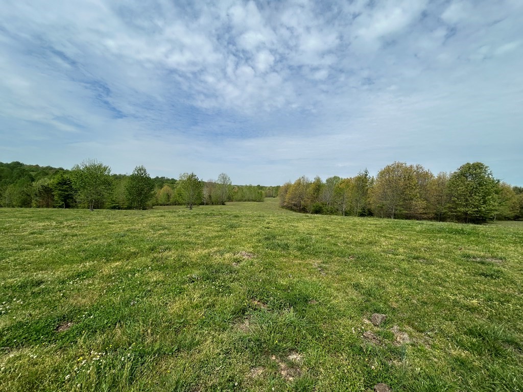 0 Elkhorn Road Springville, TN 38256 - Photo 12 of 22 a view of a green field