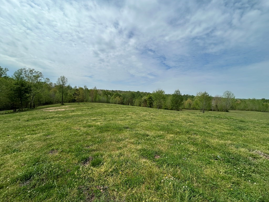0 Elkhorn Road Springville, TN 38256 - Photo 13 of 22 a view of a field with an tree