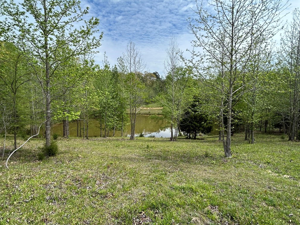 0 Elkhorn Road Springville, TN 38256 - Photo 15 of 22 a big yard with lots of green space and plants