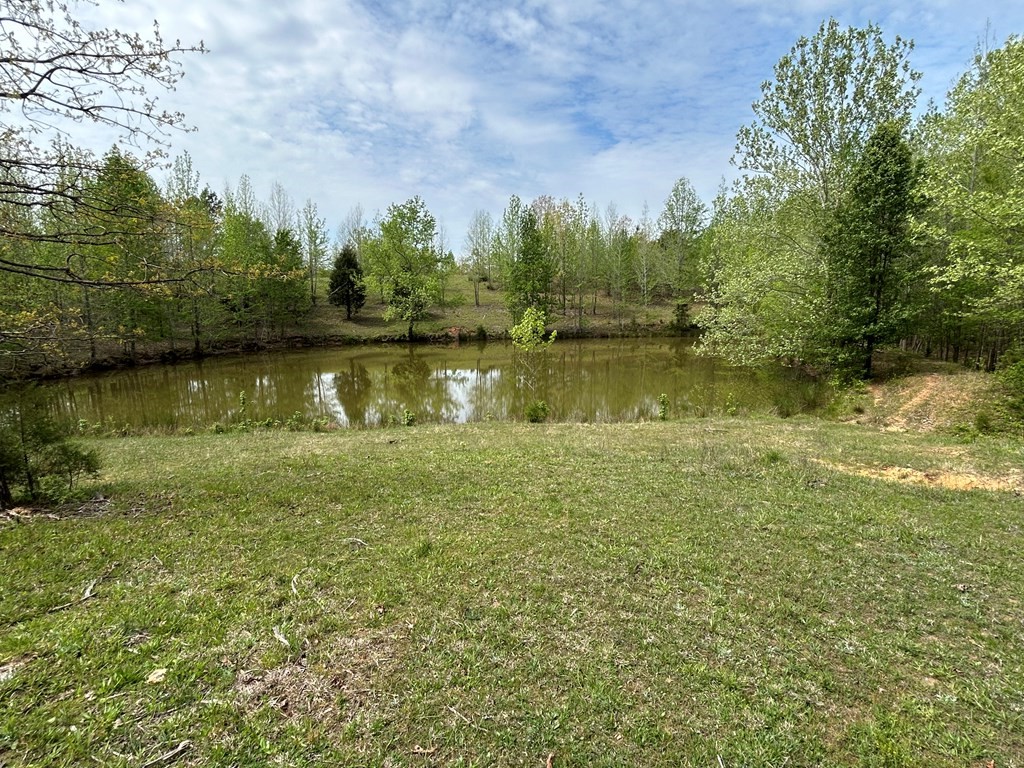 0 Elkhorn Road Springville, TN 38256 - Photo 16 of 22 a view of a lake with houses in the back