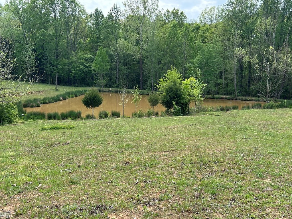 0 Elkhorn Road Springville, TN 38256 - Photo 17 of 22 a view of a backyard