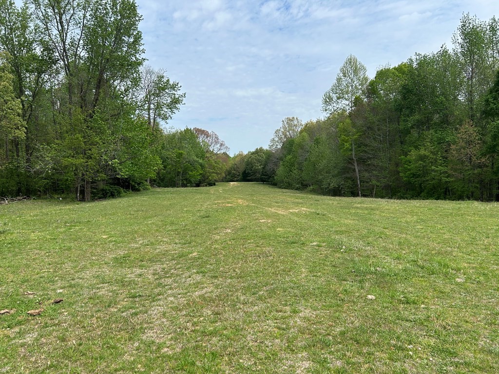 0 Elkhorn Road Springville, TN 38256 - Photo 18 of 22 a view of a green field with trees in the background