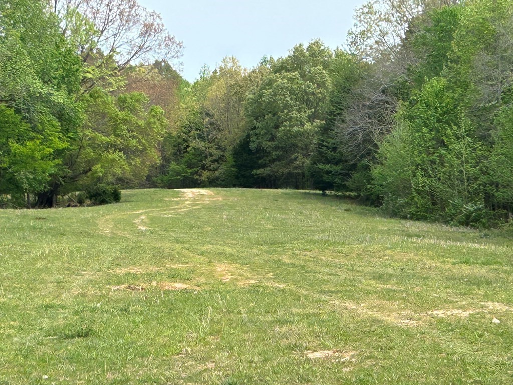 0 Elkhorn Road Springville, TN 38256 - Photo 19 of 22 a view of a field with an outdoor space