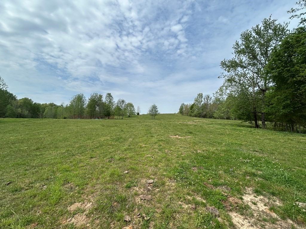0 Elkhorn Road Springville, TN 38256 - Photo 20 of 22 a view of a green field with wooden fence