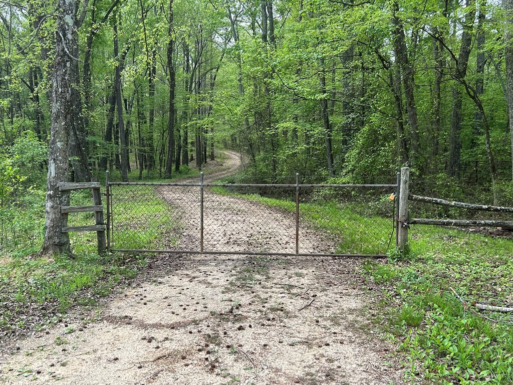 0 Elkhorn Road Springville, TN 38256 - Photo 22 of 22 a view of a park