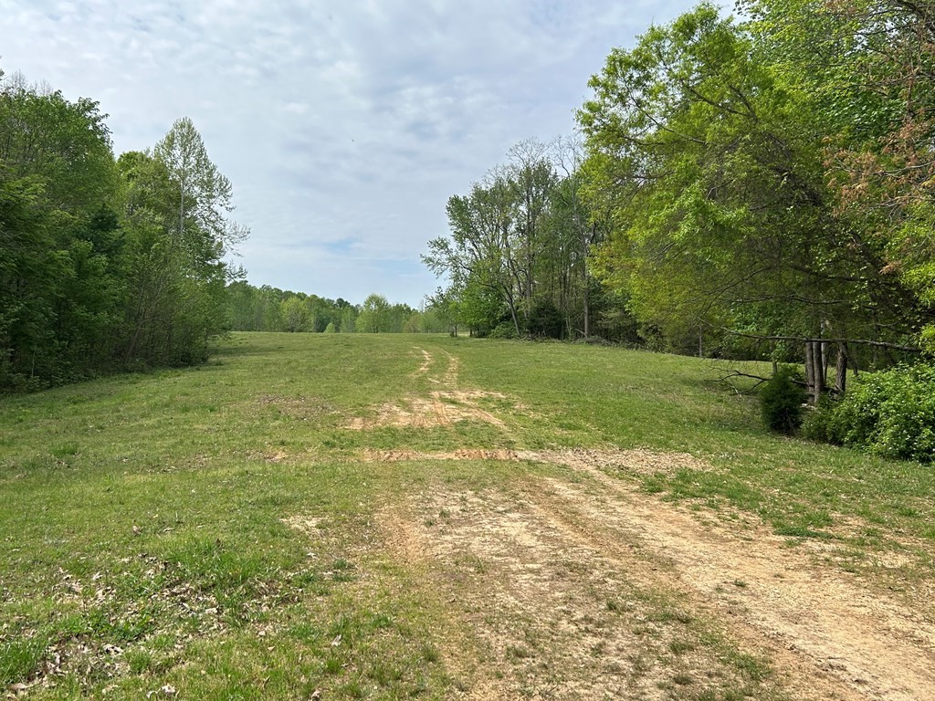 0 Elkhorn Road Springville, TN 38256 - Photo 6 of 22 a view of a field with an trees