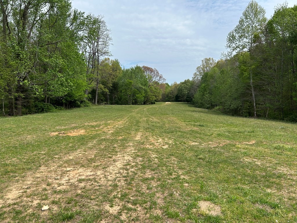 0 Elkhorn Road Springville, TN 38256 - Photo 7 of 22 a view of a big yard with an trees