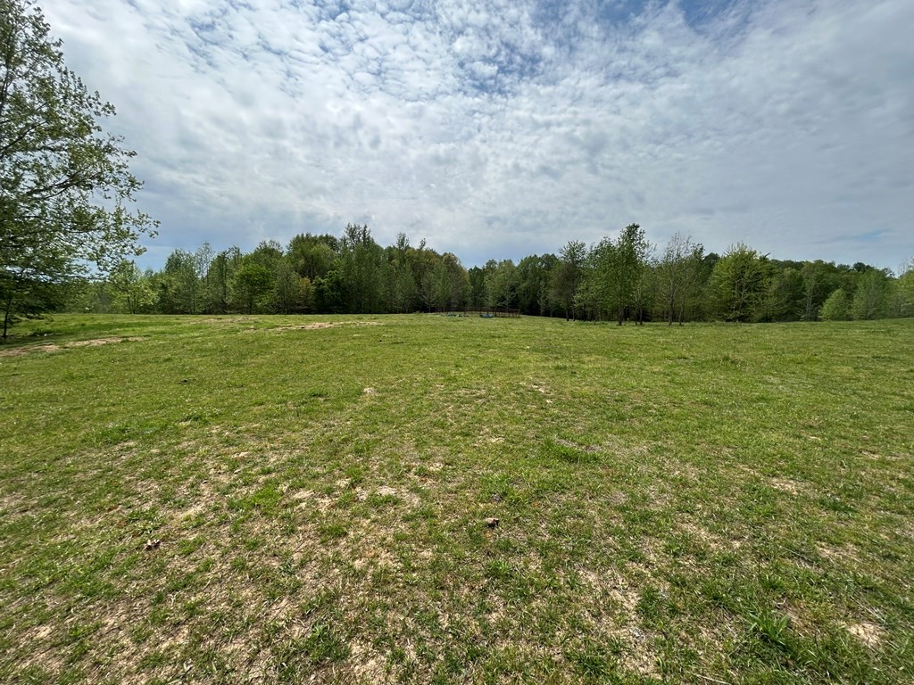 0 Elkhorn Road Springville, TN 38256 - Photo 8 of 22 a view of an ocean from a yard