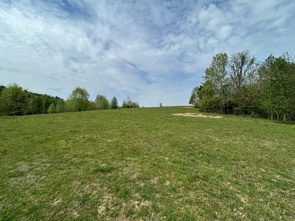 0 Elkhorn Road Springville, TN 38256 - Photo 9 of 22 a view of a field with an trees in front of it