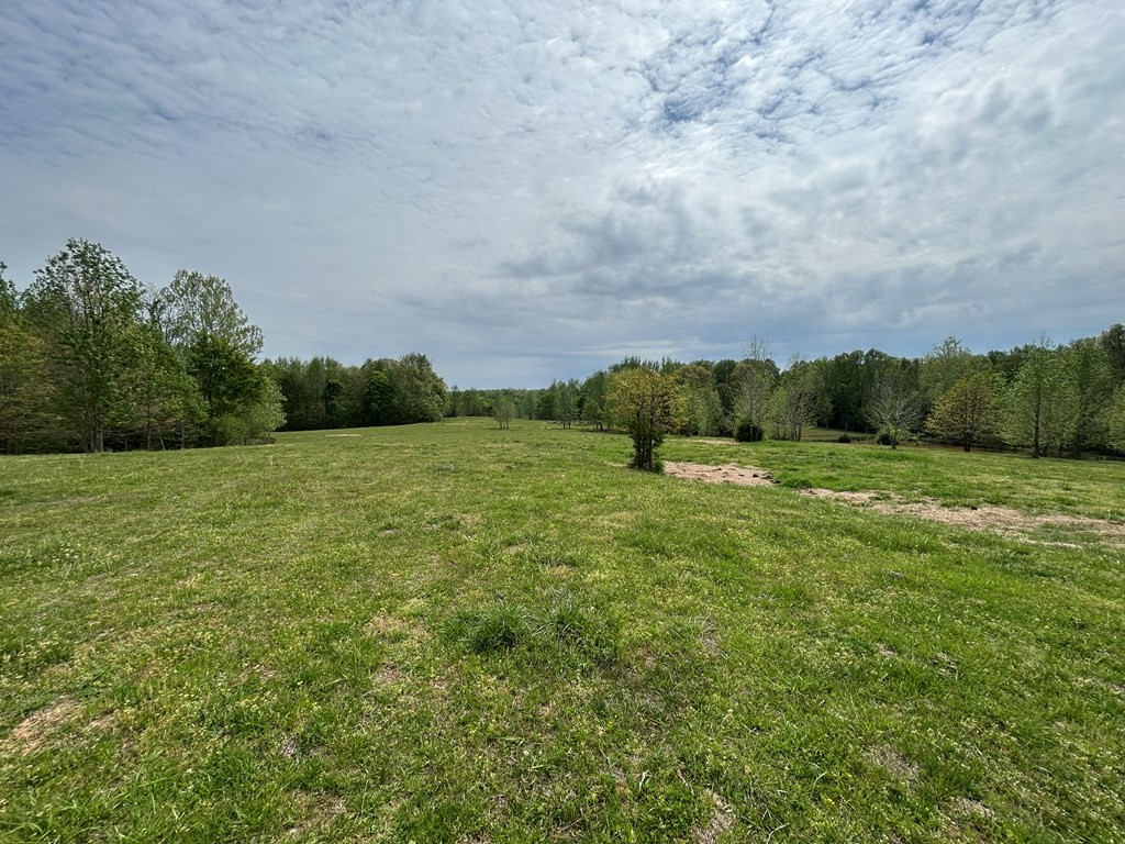 0 Elkhorn Road Springville, TN 38256 - Photo 10 of 22 a view of a field with grass and trees