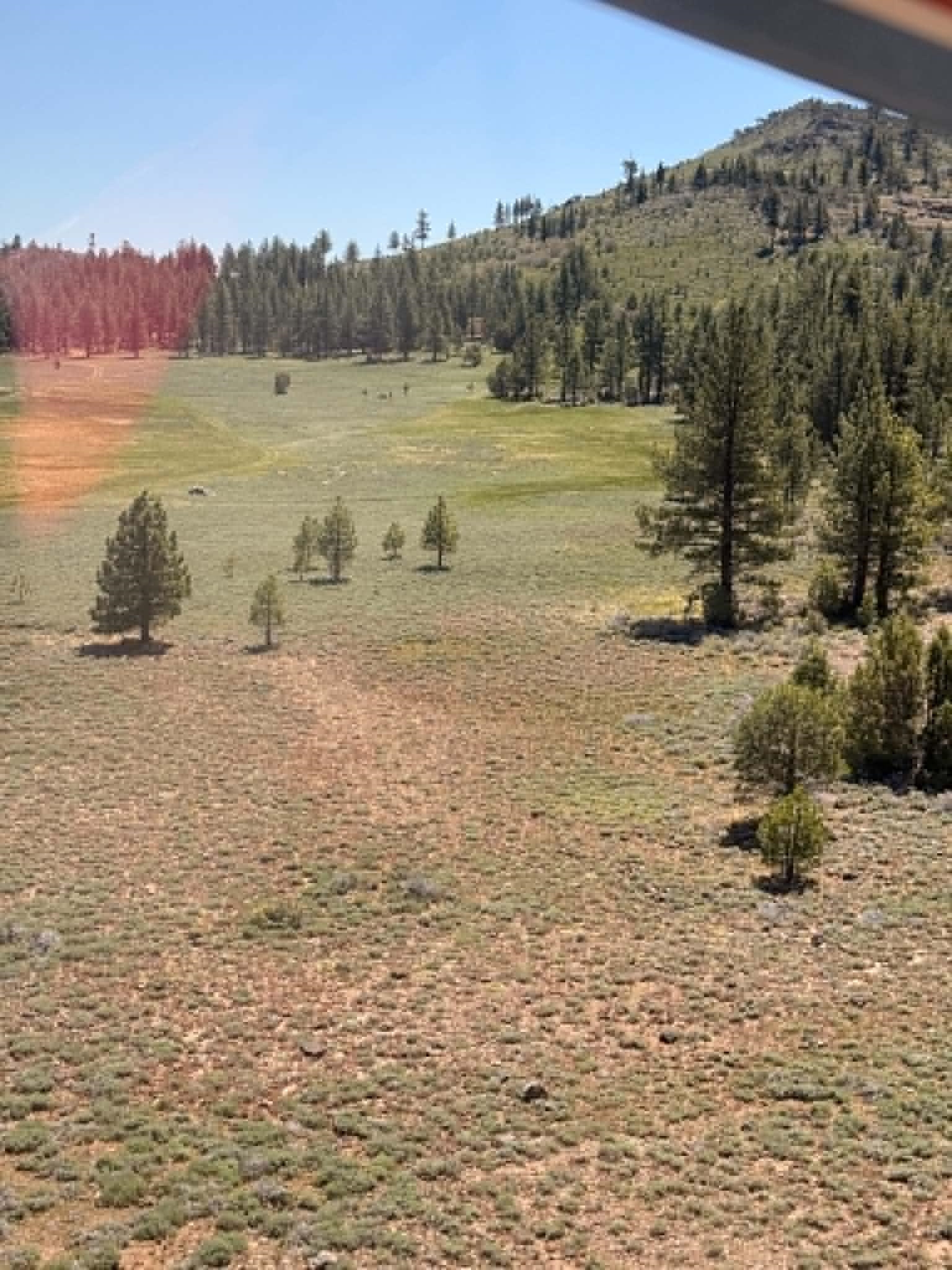 Xxxx Doyle Grade Road Doyle, CA 96109 - Photo 5 of 10