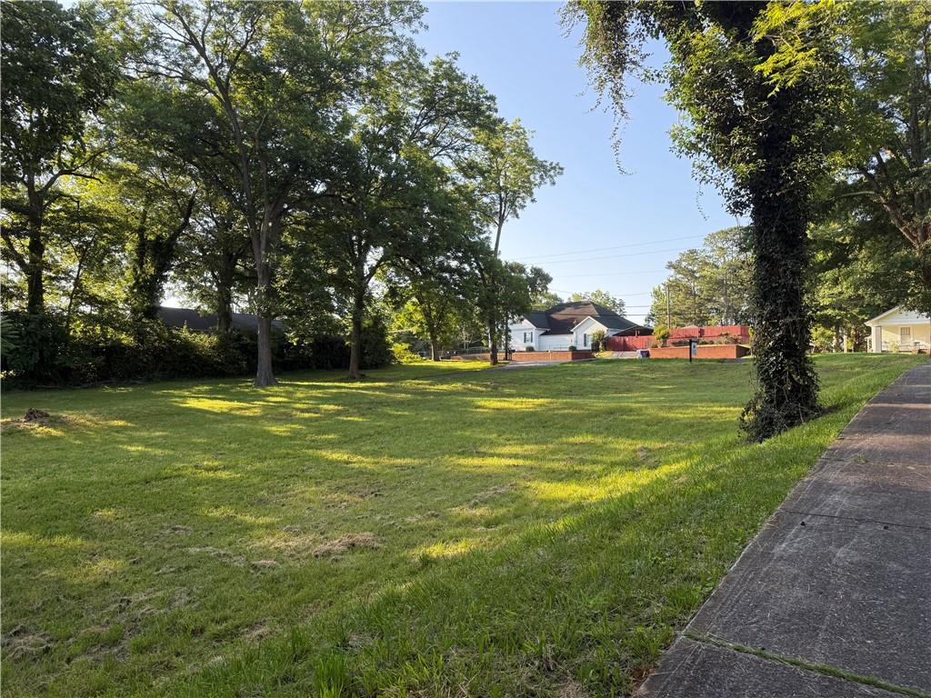 175 Polk Avenue Dallas, GA 30132 - Photo 6 of 30