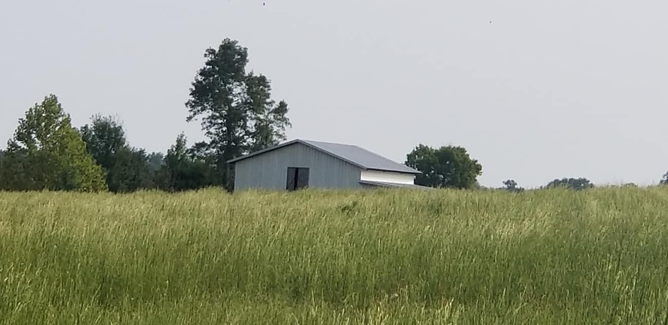 217 Lantz Road Lawrenceburg, TN 38464 - Photo 22 of 25 a view of a big yard with plants and a trees
