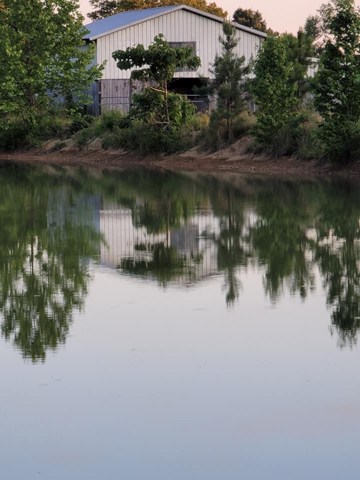 217 Lantz Road Lawrenceburg, TN 38464 - Photo 23 of 25 a view of a lake with a building in front of it