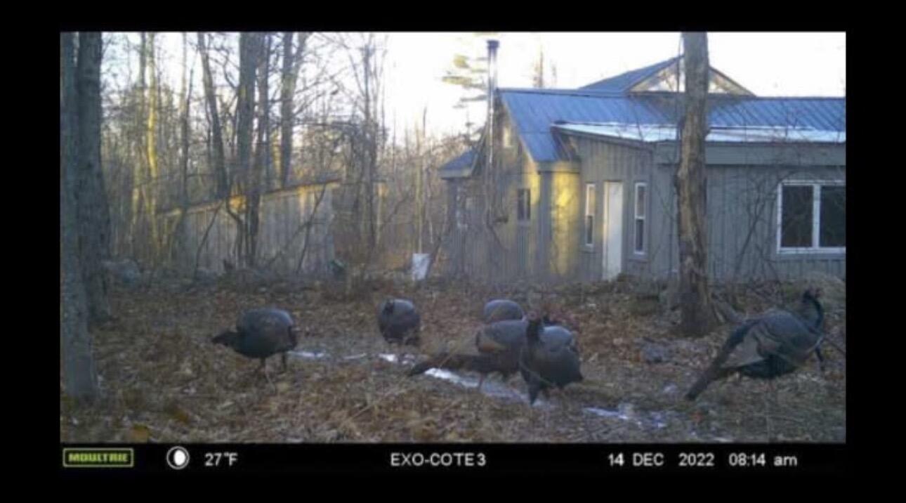 608 Adams Road Chesterville, ME 04938 - Photo 45 of 46