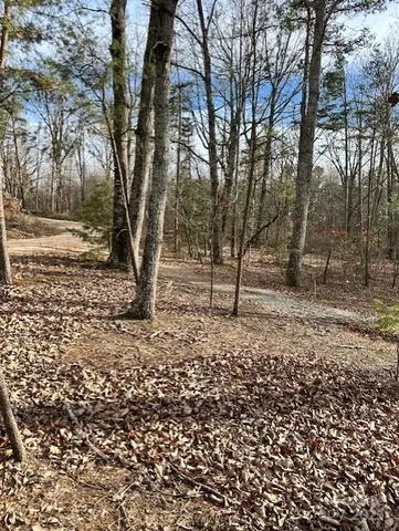 a view of a yard with plants and trees