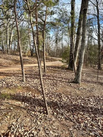 a view of yard with trees