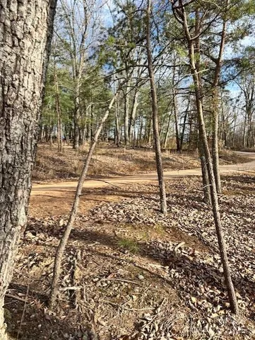a view of a yard with a house