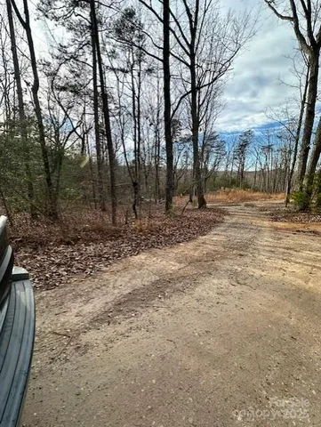 a view of a yard with trees