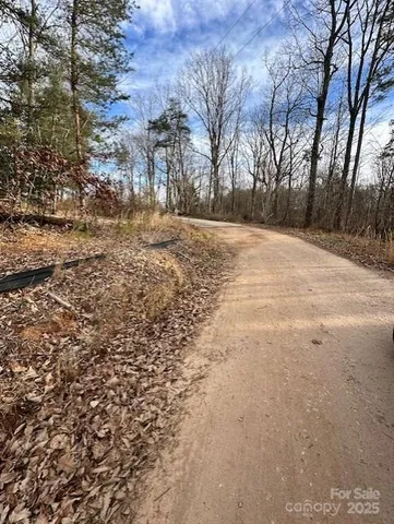 a view of empty space with large trees