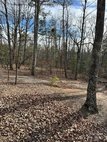 a view of outdoor space with trees