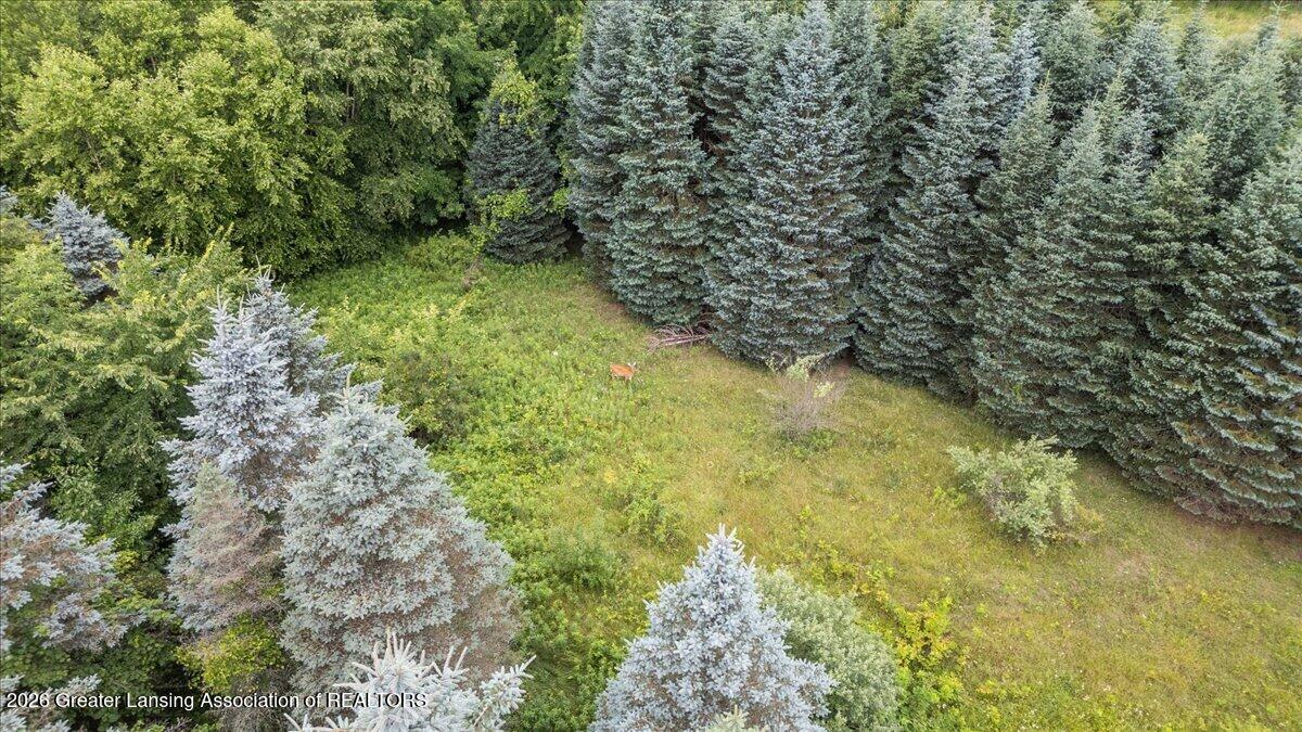 0 North Hartel Road Potterville, MI 48876 - Photo 9 of 19 09-Media Jett - 08