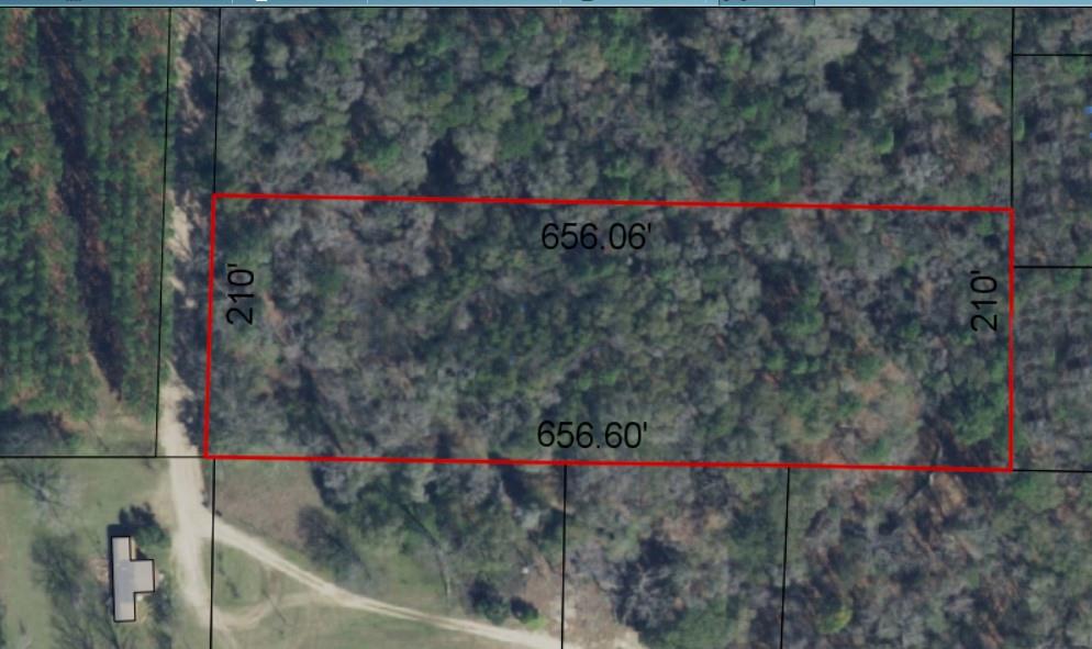 0 South Jerusalem Road Gordon, AL 36343 - Photo 1 of 2