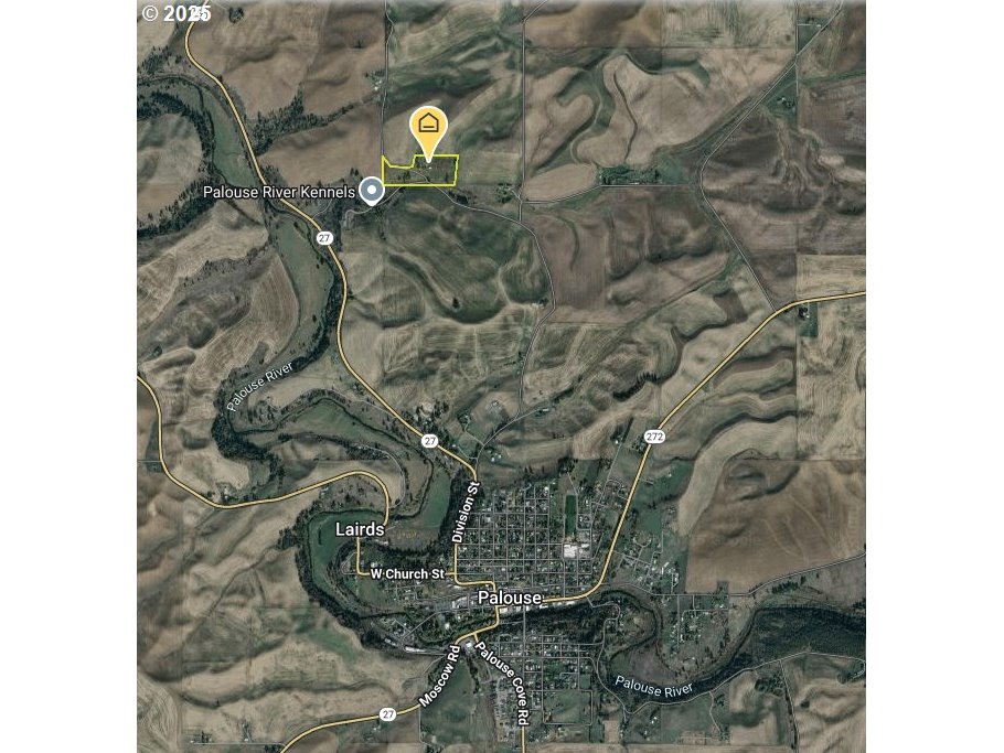 21 B Howard Road Palouse, WA 99161 - Photo 11 of 12 a close view of a plant in a bathroom