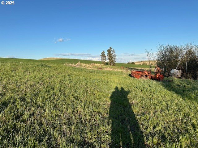 21 B Howard Road Palouse, WA 99161 - Photo 10 of 12 a view of a lake