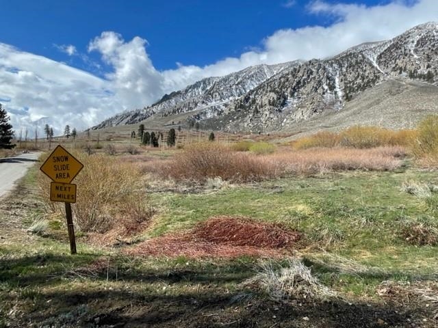 0 Swall Meadows Road Bishop, CA 93514 - Photo 1 of 13 a view of a yard in front of a house