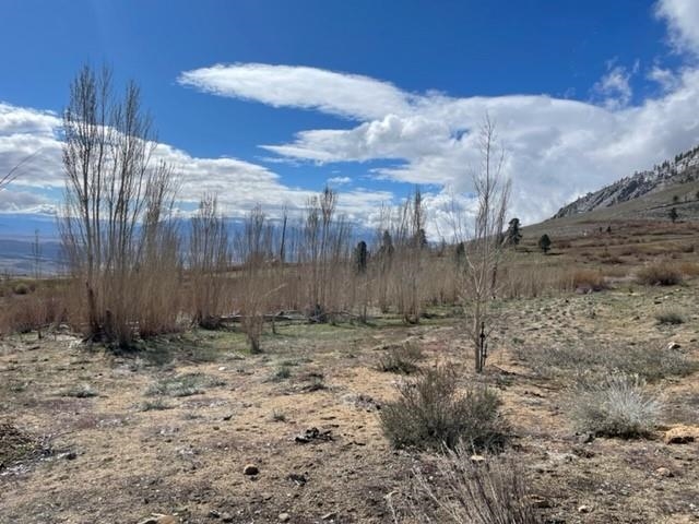 0 Swall Meadows Road Bishop, CA 93514 - Photo 12 of 13 a view of a backyard