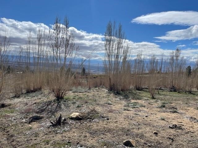 0 Swall Meadows Road Bishop, CA 93514 - Photo 13 of 13 a backyard of a house