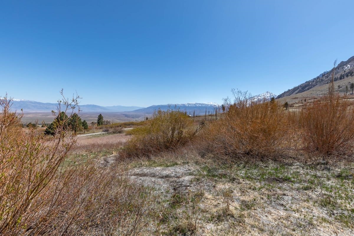 0 Swall Meadows Road Bishop, CA 93514 - Photo 3 of 13 a view of a dry yard with trees in the background