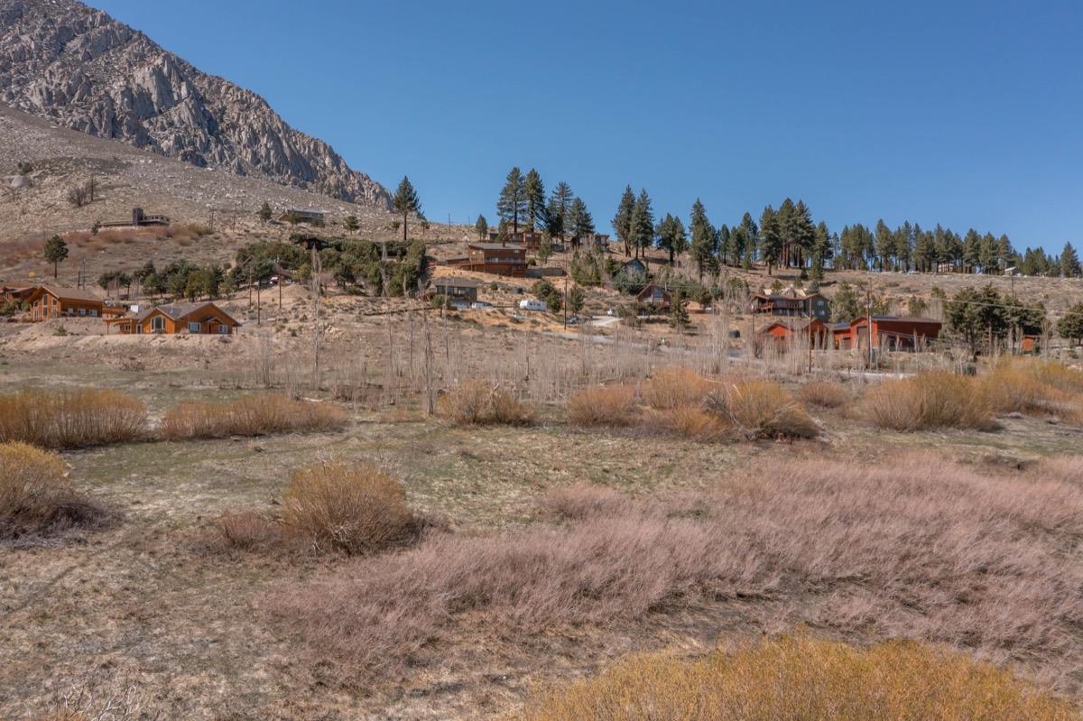 0 Swall Meadows Road Bishop, CA 93514 - Photo 9 of 13 a view of a dry yard with trees