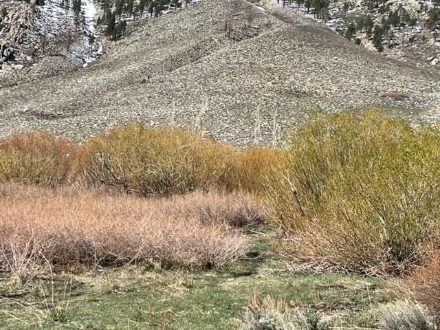 0 Swall Meadows Road Bishop, CA 93514 - Photo 10 of 13 a view of a lake