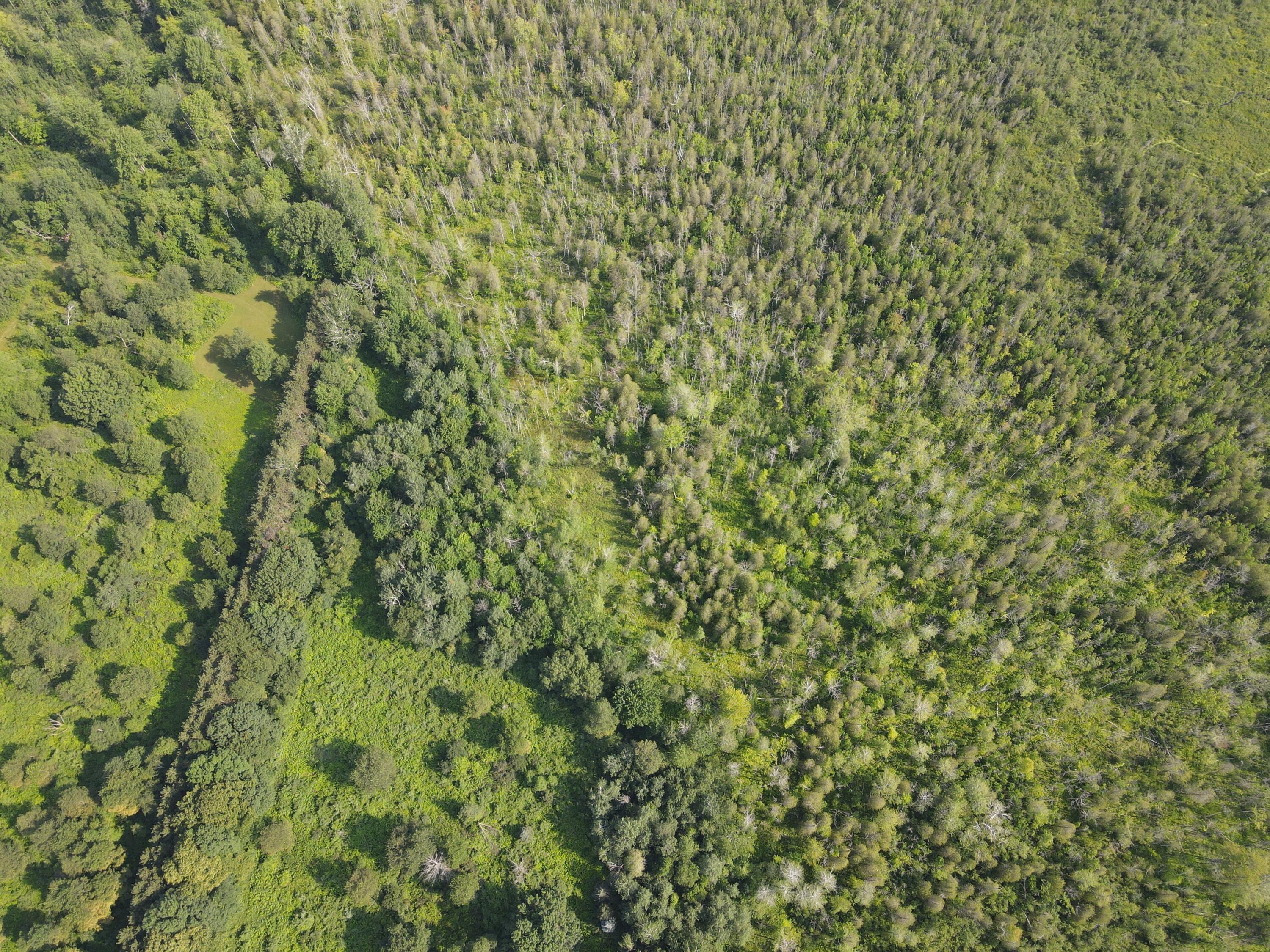 3378 West Beck Road Farwell, MI 48622 - Photo 12 of 25 DJI_0700