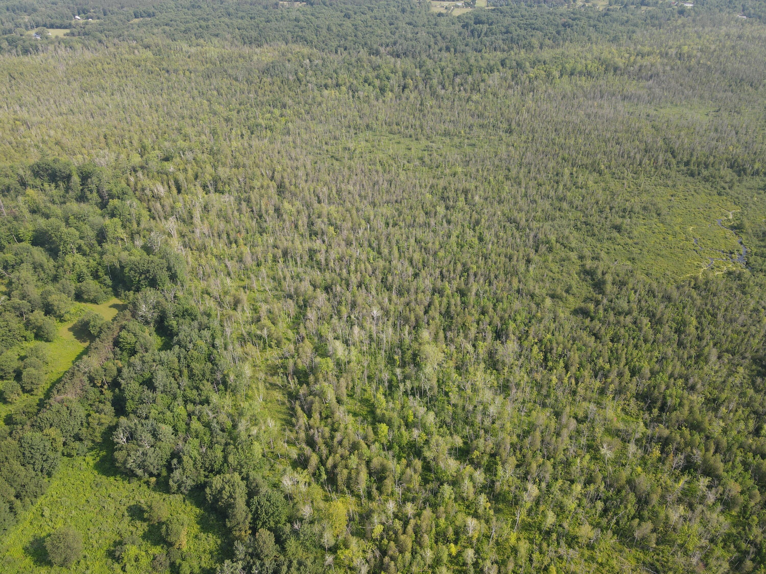 3378 West Beck Road Farwell, MI 48622 - Photo 14 of 25 DJI_0703