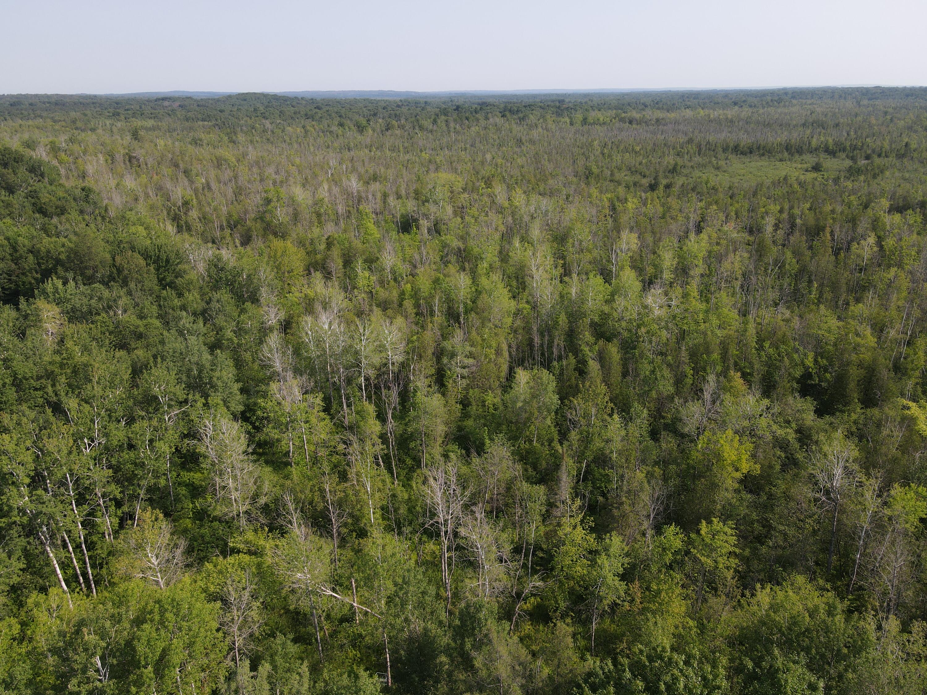 3378 West Beck Road Farwell, MI 48622 - Photo 15 of 25 DJI_0704