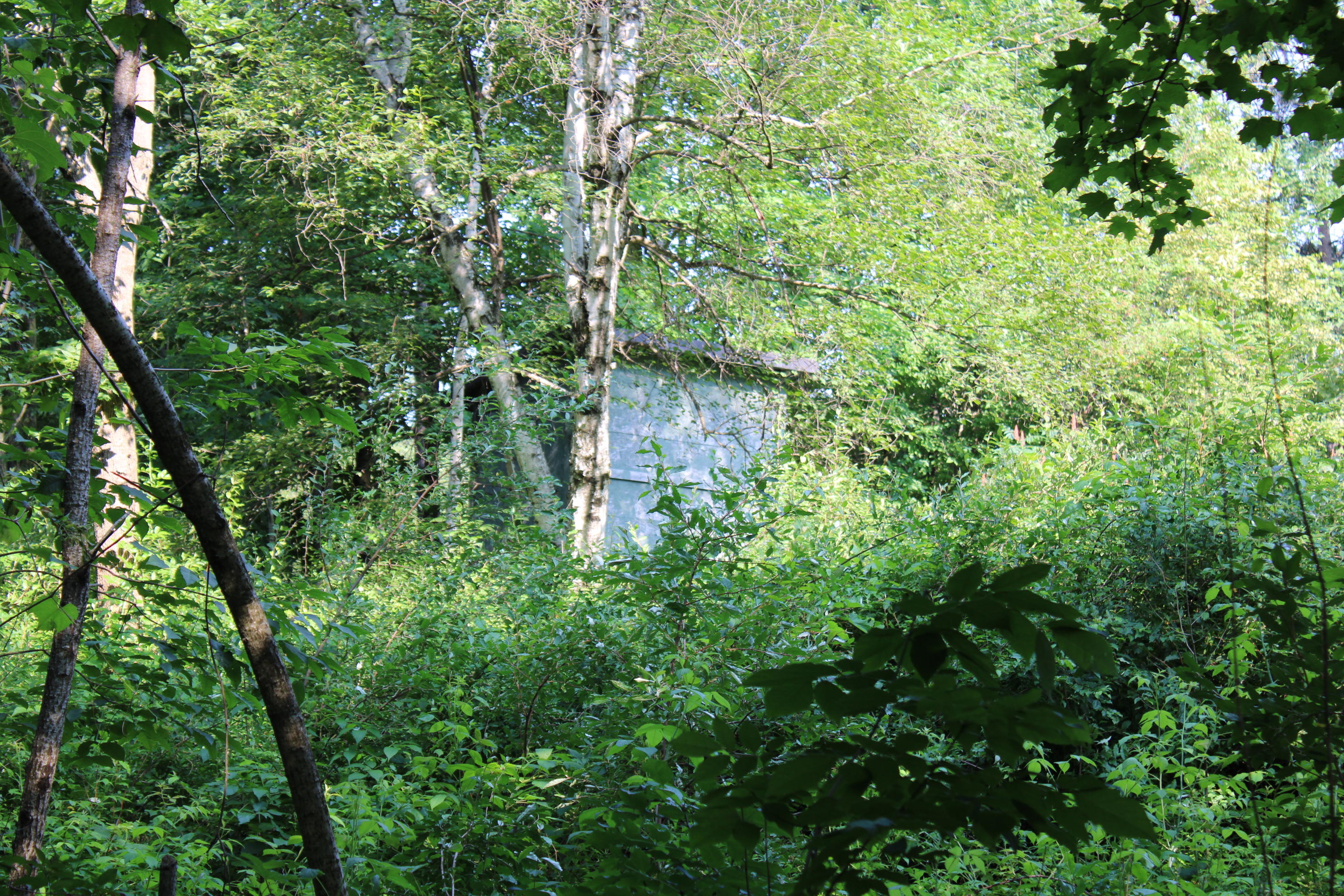 3378 West Beck Road Farwell, MI 48622 - Photo 24 of 25 IMG_0508