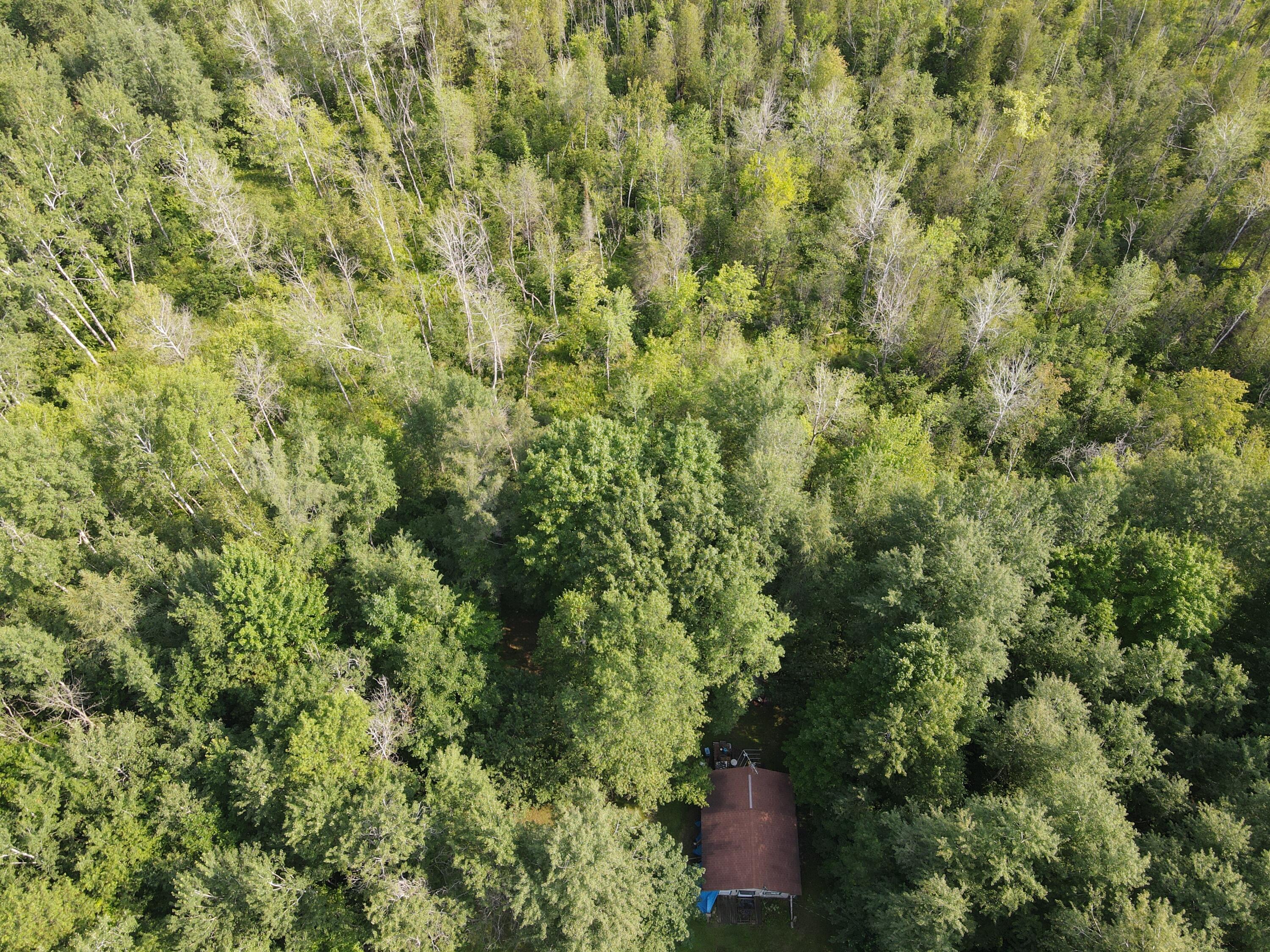 3378 West Beck Road Farwell, MI 48622 - Photo 9 of 25 DJI_0693