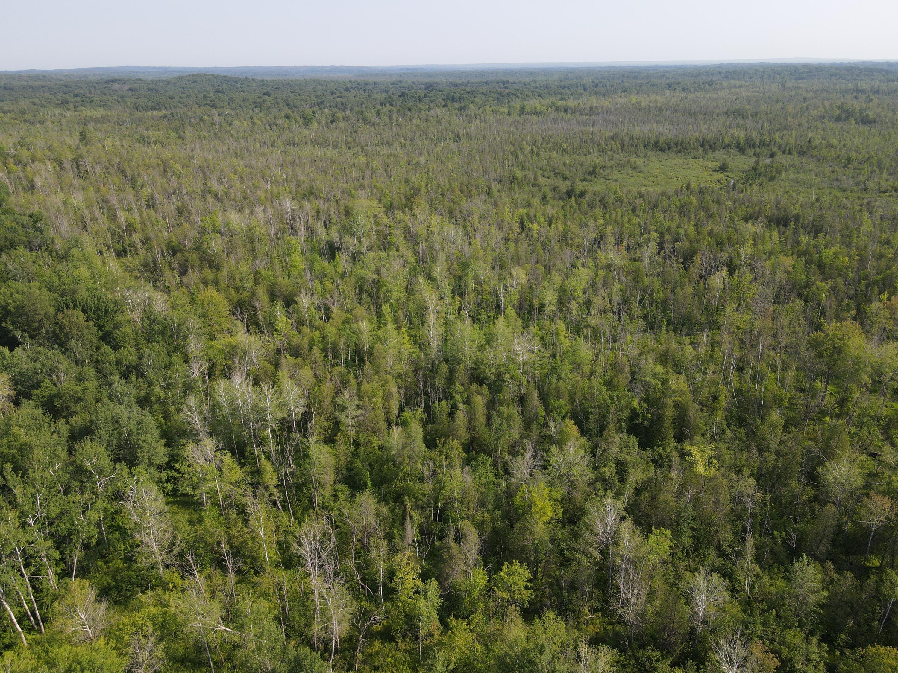 3378 West Beck Road Farwell, MI 48622 - Photo 10 of 25 DJI_0694