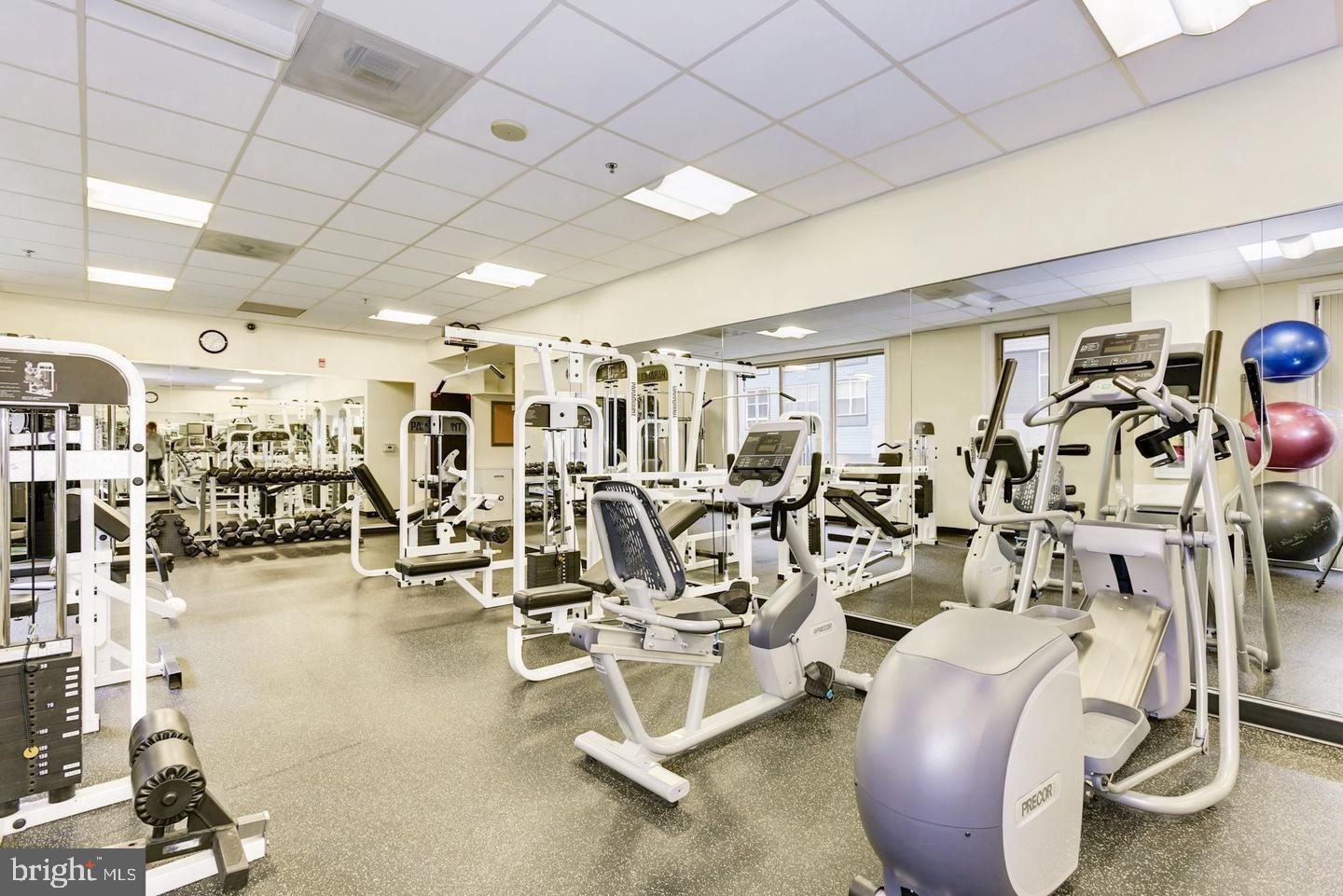 2726 Gallows Road, Unit 1004 Vienna, VA 22180 - Photo 52 of 73