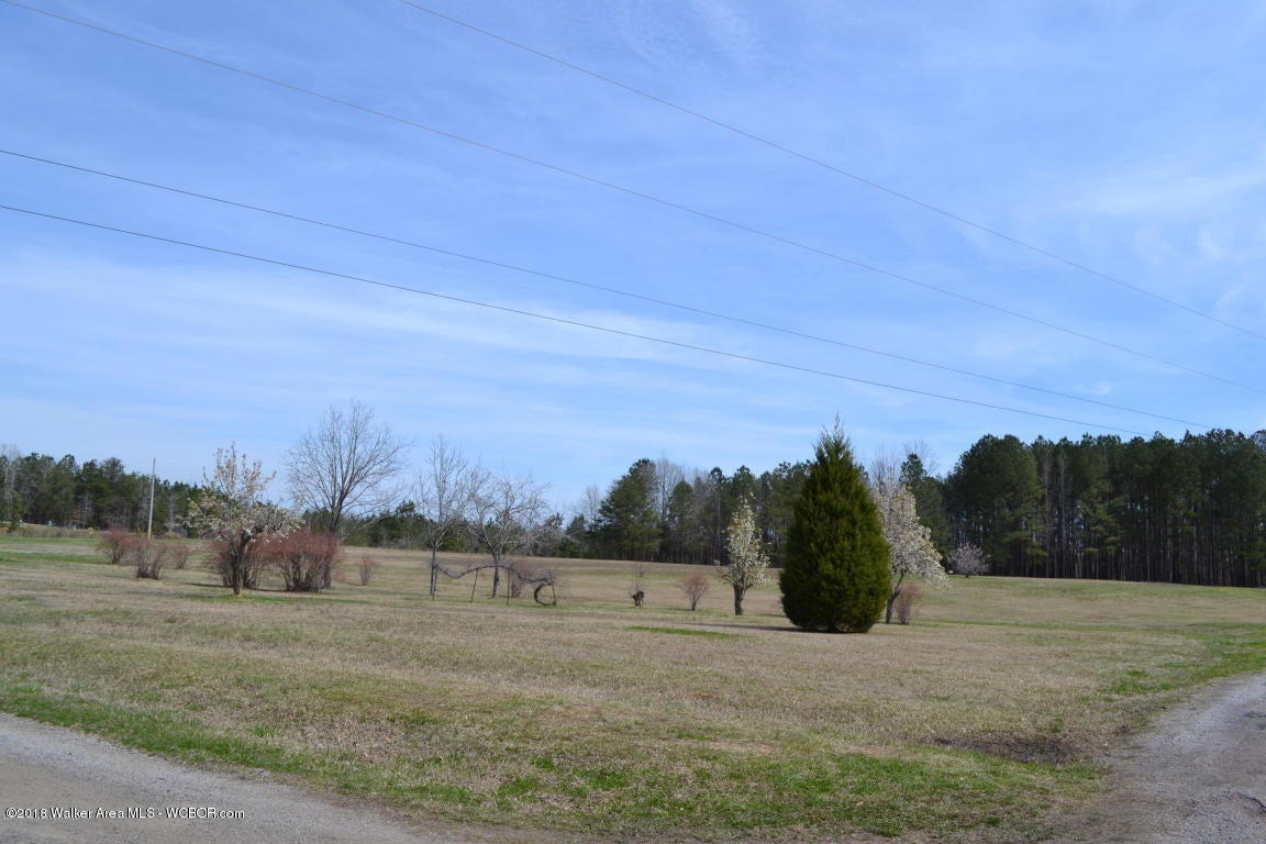 Joe Moore Road Parrish, AL 35580 - Photo 1 of 1 Gallery Image 1