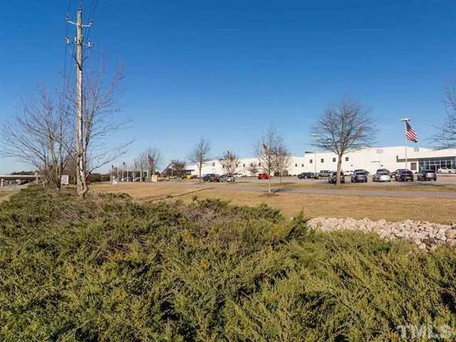 a view of road with large trees