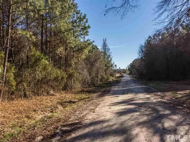 a view of a yard with trees